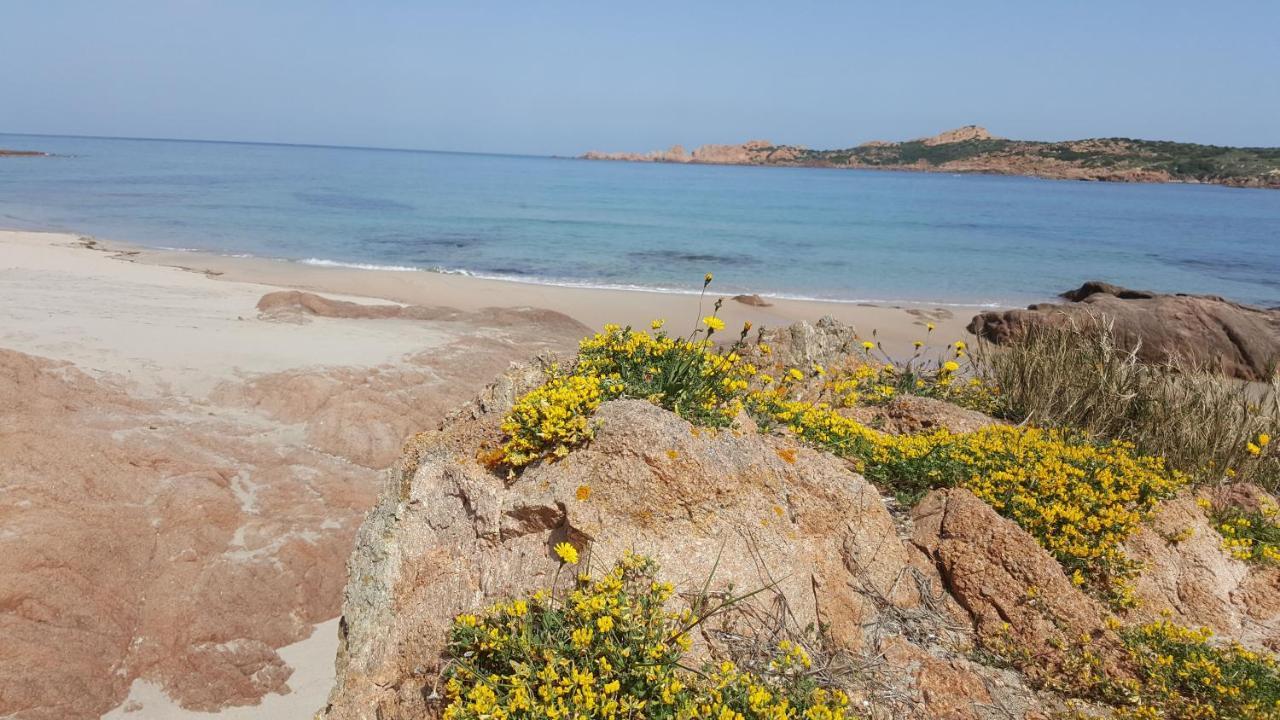 Casa Vacanza Costa Rossa Vista Mare Trinità dʼAgultu Zewnętrze zdjęcie